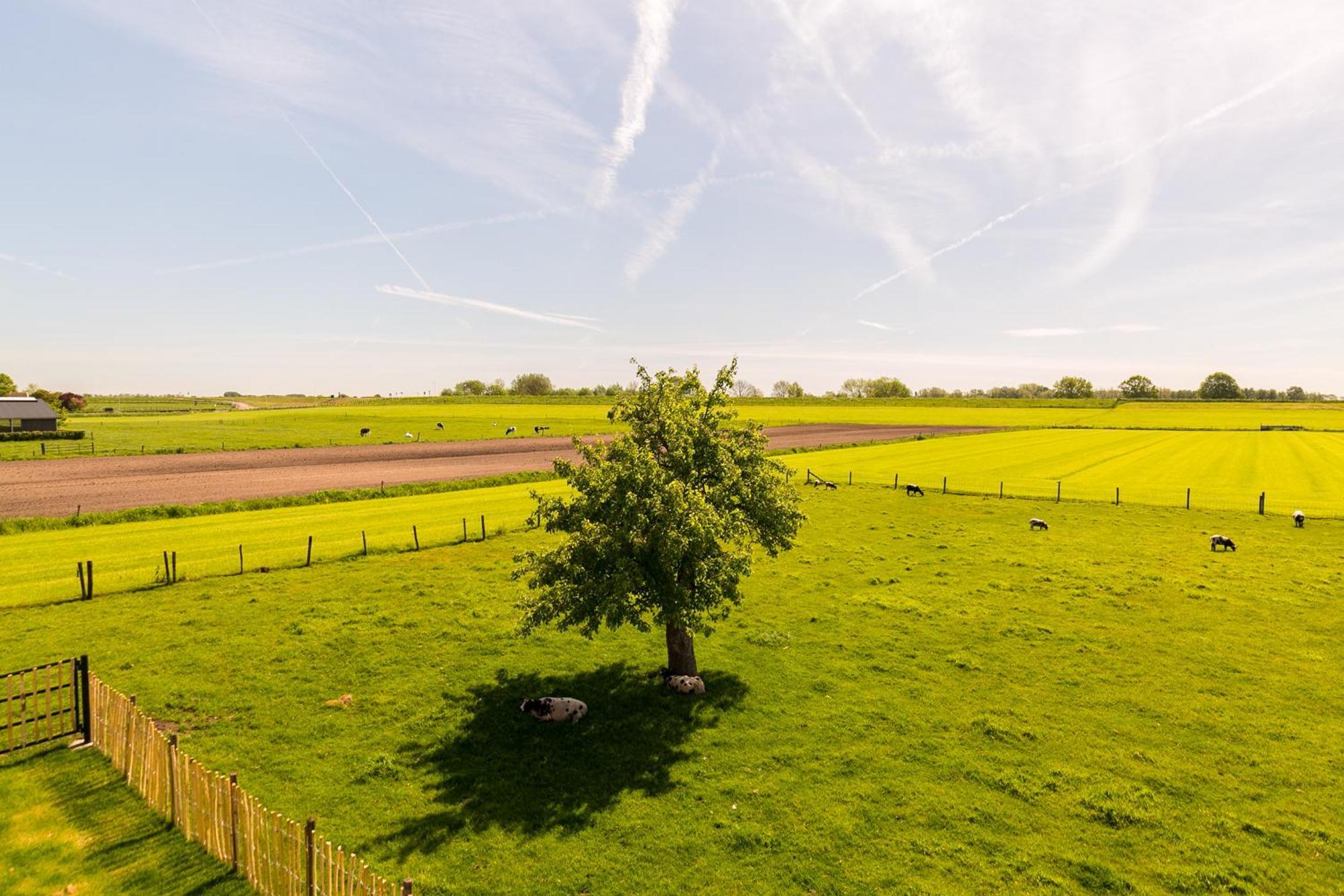 Boerderij De Zalm Bed & Breakfast Schalkwijk Екстериор снимка