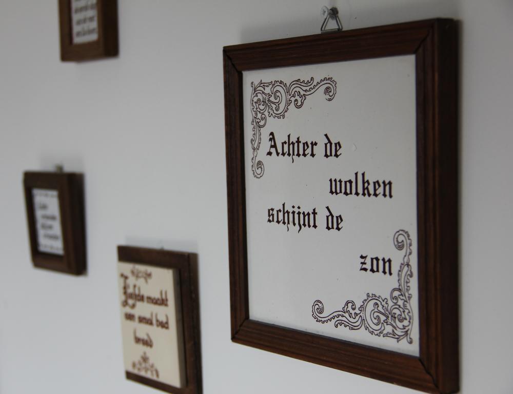 Boerderij De Zalm Bed & Breakfast Schalkwijk Екстериор снимка